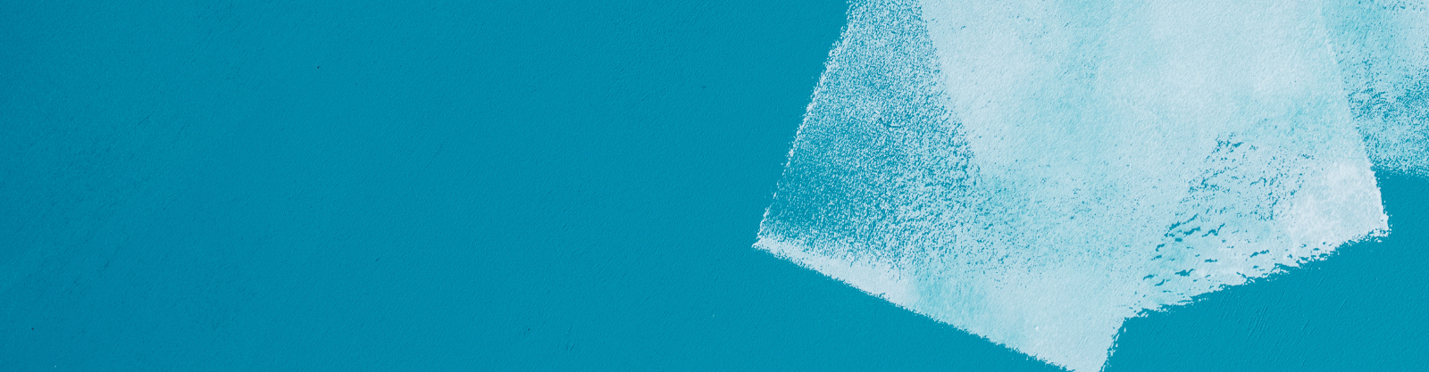 ENVIOS RÁPIDOS Y GARANTIZADOS image